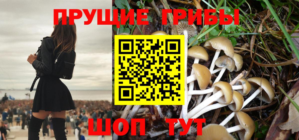 МЕФ Тихвин