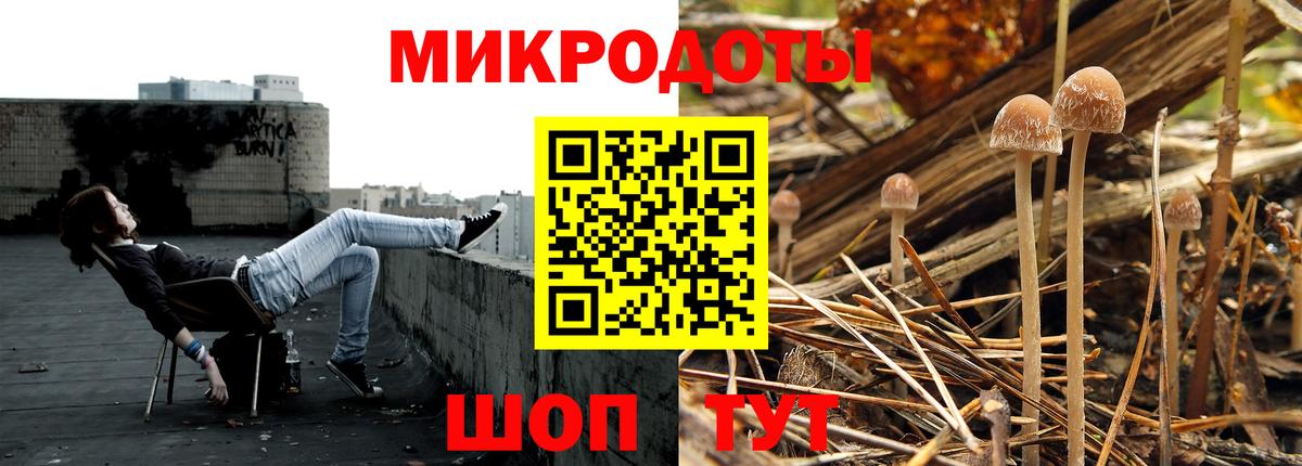Галлюциногенные грибы Psilocybine cubensis Тихвин